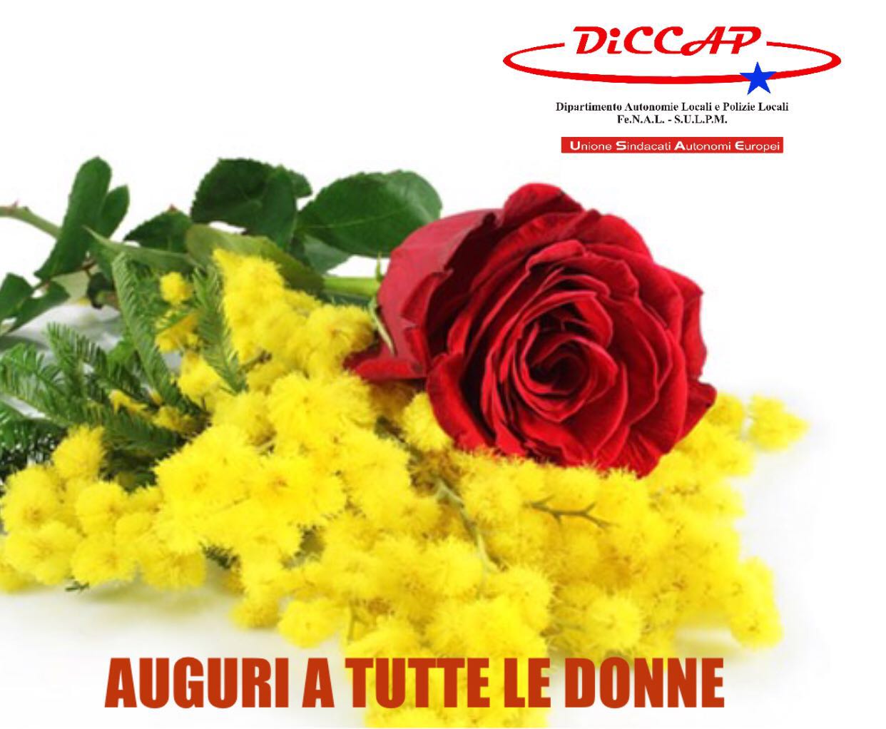 donne diccap